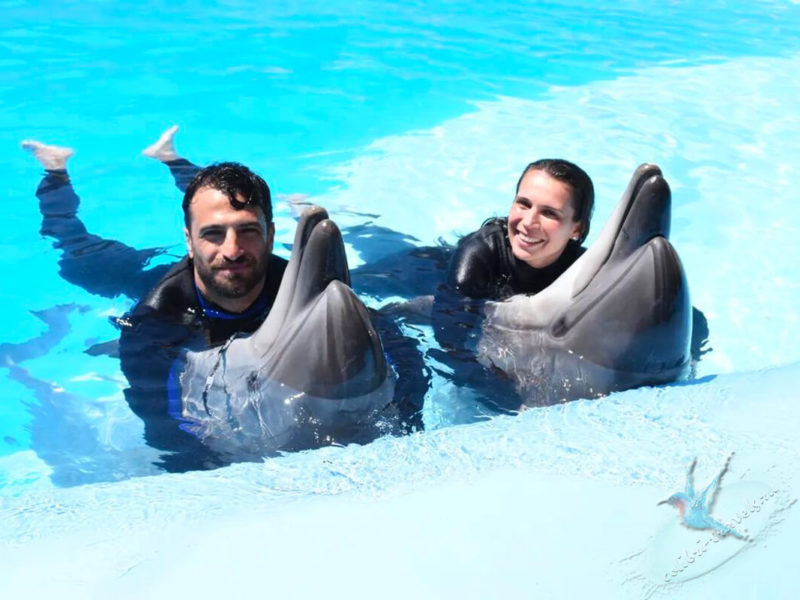Плавание с дельфинами в Шарм Эль Шейхе